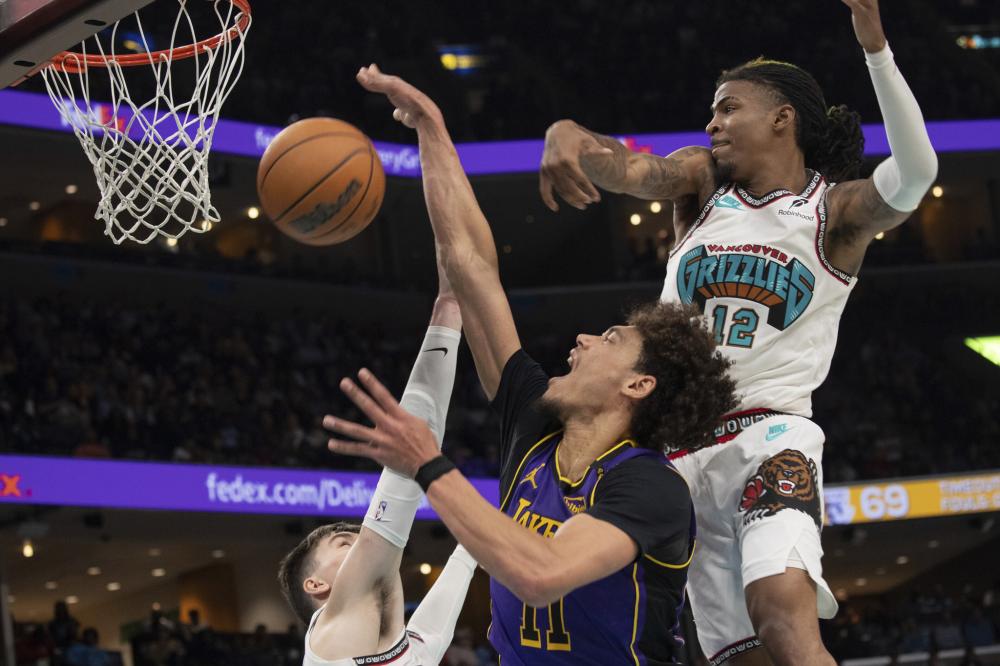 他们在赛季 他们在赛季